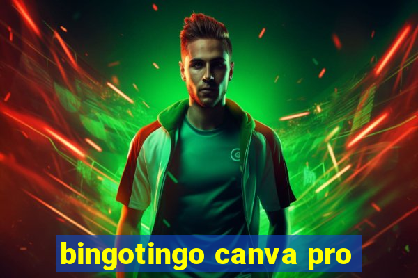 bingotingo canva pro